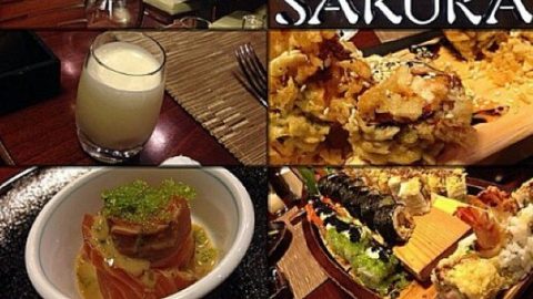 مطعم ساكورا في جده (الاسعار+ المنيو+ الموقع)