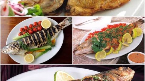 مطعم أسماك المعلم جده (الاسعار+ المنيو+ الموقع)